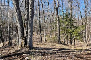 Land for Sale, 0 South Rd (Part 1), North Frontenac, ON