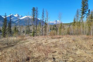 Vacant Residential Land for Sale, Lot 90 Montane Parkway #Proposed, Fernie, BC