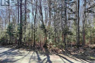 Land for Sale, Lot 20 Beech, Parkdale, NS