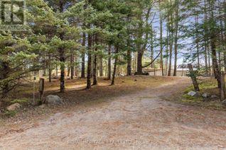 Bungalow for Sale, 24 Fire Route 50c Route, North Kawartha, ON