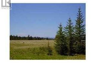 Land for Sale, 1 Range Road 55, Rural Mountain View County, AB
