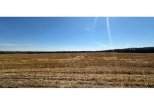 Land for Sale, Se 6-64-22- W4, Rural Athabasca County, AB