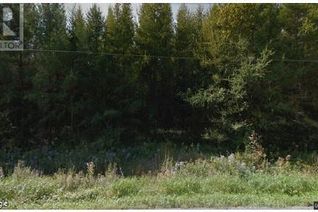 Commercial Land for Sale, - Vacant Lot Dornie Road, Alexandria, ON