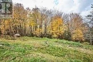 Commercial Land for Sale, Con 5 Pt Lt 41 Shafley Rd S, Wainfleet, ON