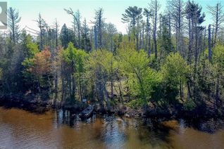 Commercial Land for Sale, Lot 3 Grand Trunk Island, Callander, ON