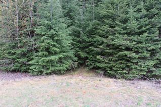 Vacant Residential Land for Sale, Lot B Highway 3, Salmo, BC