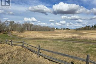 Land for Sale, 111 Wolf Run Drive, Rural Ponoka County, AB