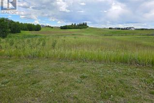 Commercial Land for Sale, 111 Wolf Run Drive, Rural Ponoka County, AB