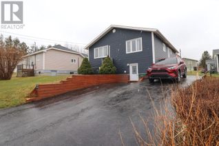 Detached House for Sale, 5a Fourth Avenue, Deer Lake, NL
