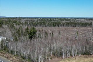 Commercial Land for Sale, Lot 99-5 Route 8 Hwy, Boiestown, NB