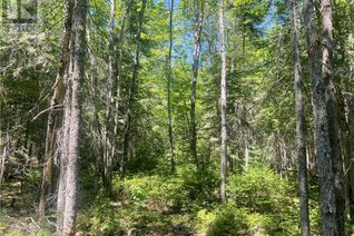 Land for Sale, Lot 24-4 Cox Point Road, Cumberland Bay, NB