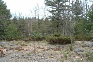 Vacant Residential Land for Sale, 550 Baxter Island S, Georgian Bay, ON