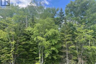 Commercial Land for Sale, Lot R1-Ab Old Mill Road, Hammonds Plains, NS