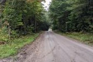 Commercial Land for Sale, 0 Axe Lake Road, Sprucedale, ON