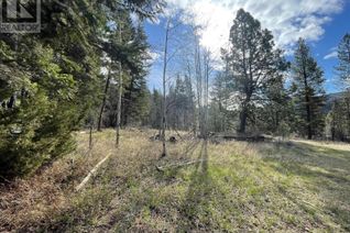 Land for Sale, 5329 Princeton/S'Land Road, Princeton, BC