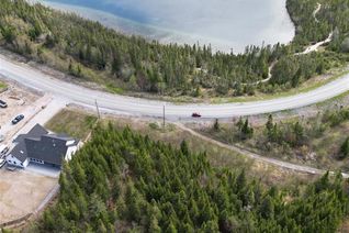 Commercial Land for Sale, Lot 1 Massey Drive Drive, Massey Drive, NL