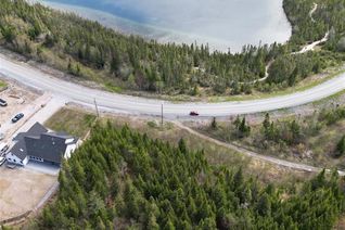 Land for Sale, Lot 1 Massey Drive Drive, Massey Drive, NL