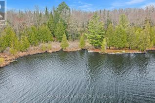 Commercial Land for Sale, Lot 0 Crego Lake Road, Kawartha Lakes, ON