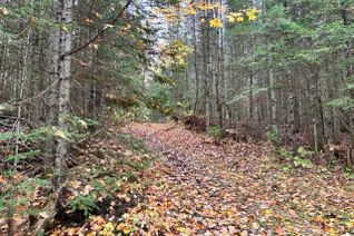 Vacant Residential Land for Sale, Lot 3-0 Hadlington Rd, Highlands East, ON