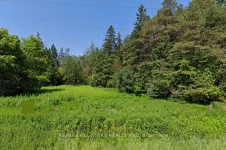 Vacant Residential Land for Sale, 17858 Mccowan Rd #Part 1, East Gwillimbury, ON
