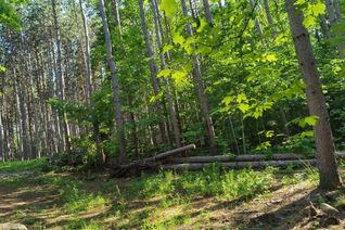 Vacant Residential Land for Lease, 111 Tranquility Bay Dr, Bonnechere Valley, ON