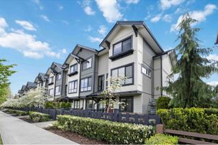 Townhouse for Sale, 8570 204 Street #94, Langley, BC