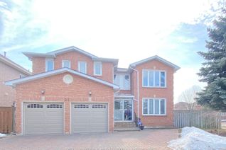 House for Rent, 21 Eastdale Cres #Bsmt, Richmond Hill, ON