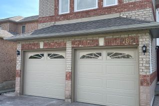 House for Rent, 782 Peter Robertson Blvd #Bsmt, Brampton, ON