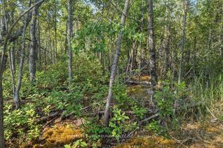 Land for Sale, 105 Corey Cres, Northern Bruce Peninsula, ON
