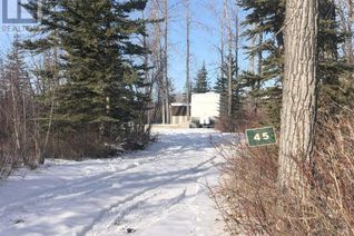 Commercial Land for Sale, 4136 Highway 587 #45, Rural Red Deer County, AB
