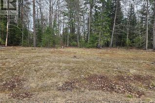 Land for Sale, 20 Birchview Drive, Barry's Bay, ON