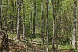 Land for Sale, 0 County Road 504, North Kawartha, ON