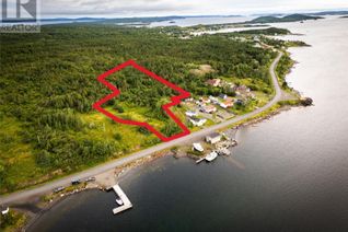 Property for Sale, 131 Main Street, Embree, NL