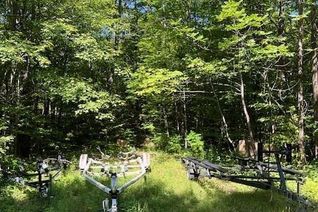 Land for Sale, 1694 Rackety Trail Road, Minden, ON