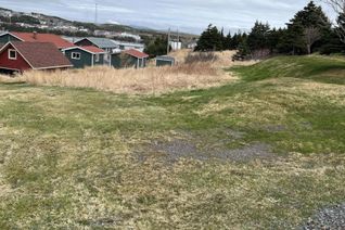 Property for Sale, 19 Hynes Heights, Arnold's Cove, NL