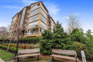 Condo Apartment for Sale, 8067 207 Street #529, Langley, BC