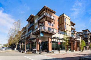 Condo Apartment for Sale, 20728 Willoughby Town Centre Drive #319, Langley, BC