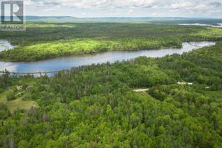 Commercial Land for Sale, 38 Acres Southside River Denys Rd, Valley Mills, NS