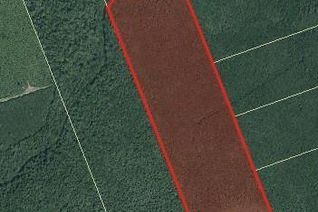 Vacant Residential Land for Sale, Lot Emerson (Back) Rd, Beersville, NB