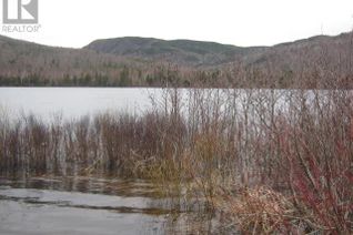 Property for Sale, 119-121 Marble Drive, Steady Brook, NL