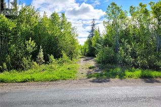 Land for Sale, 55.77 Acres Route 11, Madran, NB