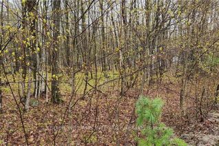 Land for Sale, L 10/11 Hollie Drive, Lanark Highlands, ON