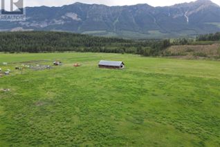 Commercial Land for Sale, 4945 Scott Road, Edgewater, BC