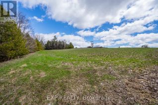 Land for Sale, Pt Lot 14 Con 9 Fanning Road, Alnwick/Haldimand, ON