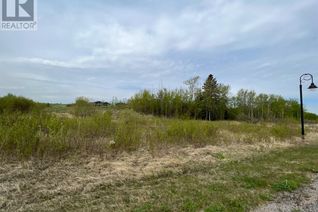 Commercial Land for Sale, 313 Wolf Run Drive, Rural Ponoka County, AB