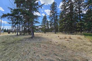 Property for Sale, 106 2 St W, Rural Wetaskiwin County, AB