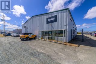 Non-Franchise Business for Sale, 30 Dundee Avenue, MOUNT PEARL, NL