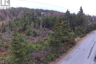 Commercial Land for Sale, 54 Ridge Road, Holyrood, NL
