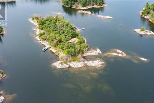 Cottage for Sale, 1 B97 Island, The Archipelago, ON