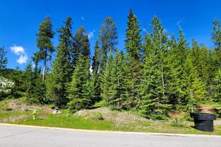 Vacant Residential Land for Sale, 32 Douglas Crescent, Elkford, BC
